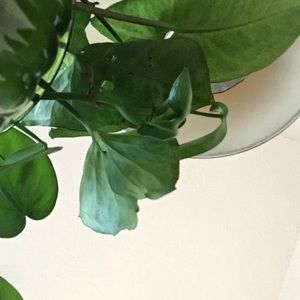 Meet your Posher, Tessa